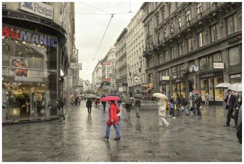Rain in Vienna